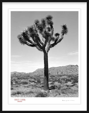 KARMA TREE # 3 - Giclee Print - Stamped and Signed