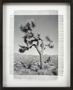 KARMA TREE # 4 - HAND WOVEN PHOTOGRAPH