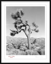 Load image into Gallery viewer, KARMA TREE # 4 - Giclee Print - Stamped and Signed