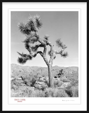 KARMA TREE # 4 - Giclee Print - Stamped and Signed