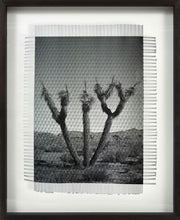 Load image into Gallery viewer, KARMA TREE # 5 - HAND WOVEN PHOTOGRAPH