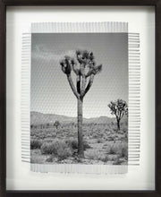 Load image into Gallery viewer, KARMA TREE # 6 - HAND WOVEN PHOTOGRAPH