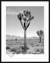 Load image into Gallery viewer, KARMA TREE # 6 - Giclee Print - Stamped and Signed