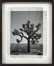 Load image into Gallery viewer, KARMA TREE # 7 - HAND WOVEN PHOTOGRAPH