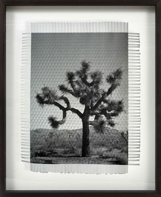 KARMA TREE # 7 - HAND WOVEN PHOTOGRAPH
