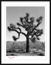 Load image into Gallery viewer, KARMA TREE # 7 - Giclee Print - Stamped and Signed