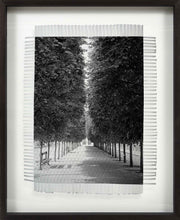 Load image into Gallery viewer, LINED TREES - HAND WOVEN PHOTOGRAPH