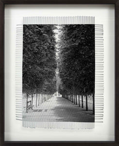 LINED TREES - HAND WOVEN PHOTOGRAPH