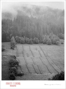 MISTY FARM HILL - Giclee Print - Stamped and Signed