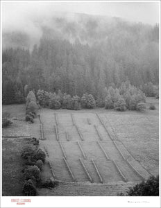 MISTY FARM HILL - Giclee Print - Stamped and Signed