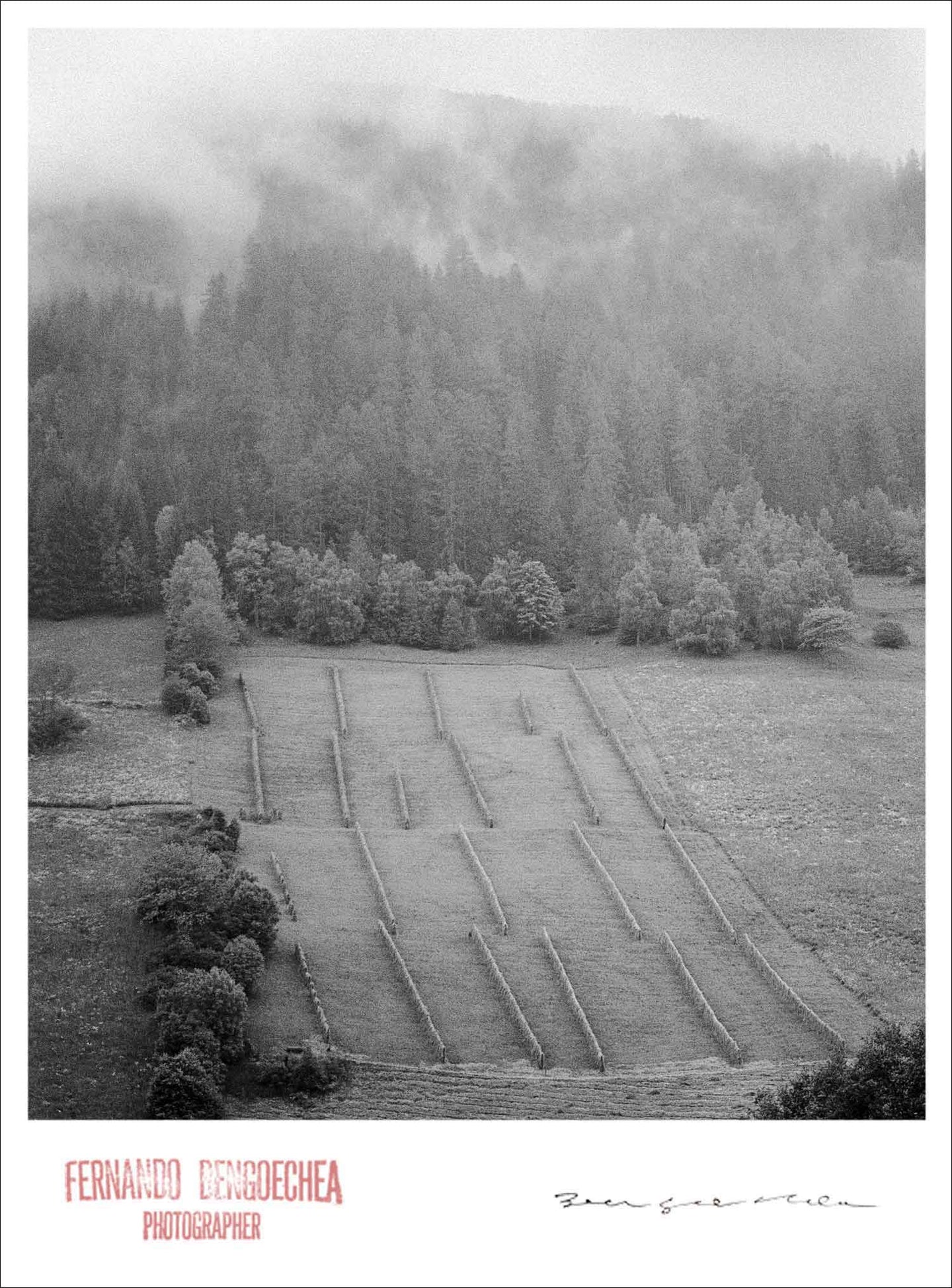 MISTY FARM HILL - Giclee Print - Stamped and Signed