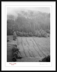 MISTY FARM HILL - Giclee Print - Stamped and Signed