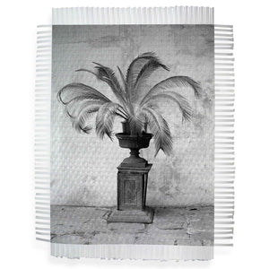 PALM IN VASE - HAND WOVEN PHOTOGRAPH