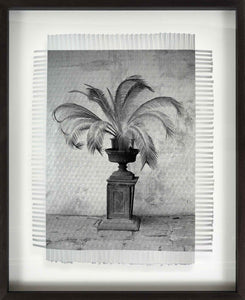 PALM IN VASE - HAND WOVEN PHOTOGRAPH