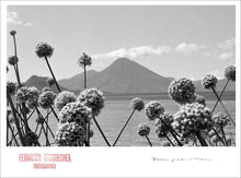 Load image into Gallery viewer, ISLAND DREAMING - Giclee Print - Stamped and Signed