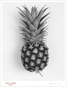 PINEAPPLE - Giclee Print - Stamped and Signed