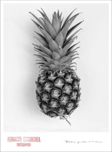 Load image into Gallery viewer, PINEAPPLE - Giclee Print - Stamped and Signed