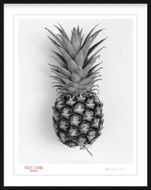 PINEAPPLE - Giclee Print - Stamped and Signed