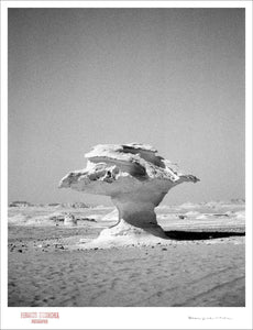 SALT FORMS - Giclee Print - Stamped and Signed