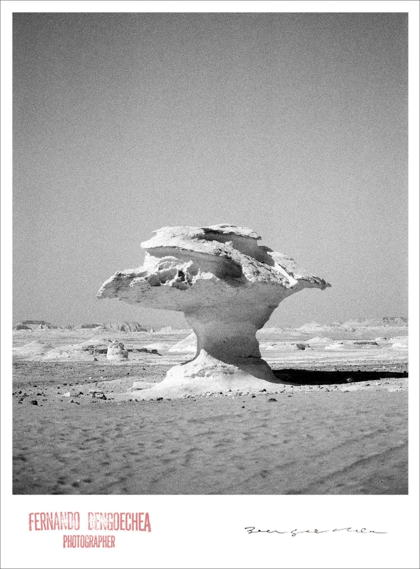 SALT FORMS - Giclee Print - Stamped and Signed
