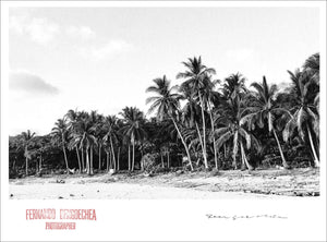 SANTA TERESA - Giclee Print - Stamped and Signed