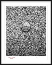 Load image into Gallery viewer, A GIFT FROM NATURE - Giclee Print - Stamped and Signed