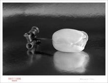 Load image into Gallery viewer, SLEEPING TULIP - Giclee Print - Stamped and Signed