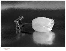 Load image into Gallery viewer, SLEEPING TULIP - Giclee Print - Stamped and Signed