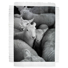 Load image into Gallery viewer, WOOL - HAND WOVEN PHOTOGRAPH